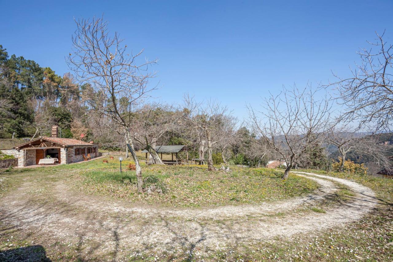 Villa Casa Nel Bosco à Sassetta Extérieur photo